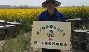 木子蜂业蜂农合作社